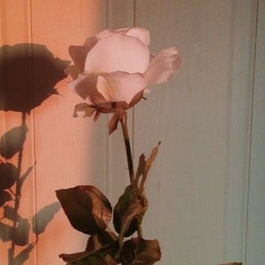 Meet your Posher, Briana